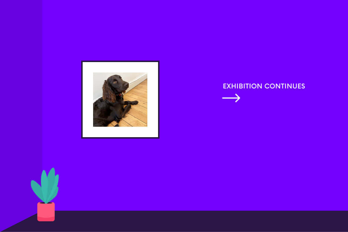 Gallery with photo of a dog on the wall and a sign pointing to the right to continue exhibition