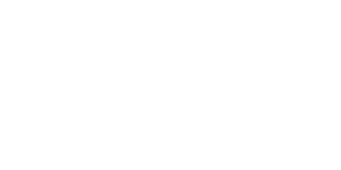 Freedom Fund logo